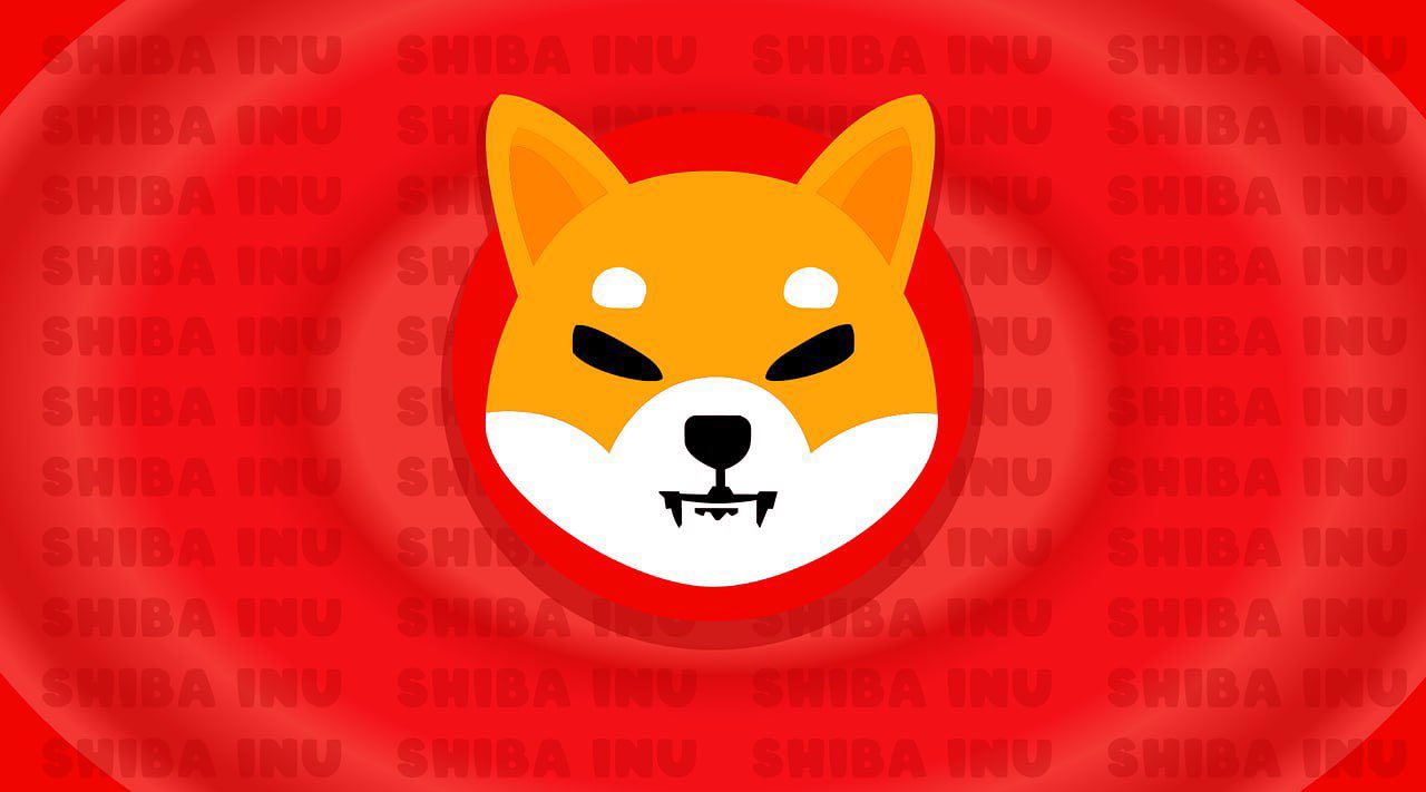 shib coin